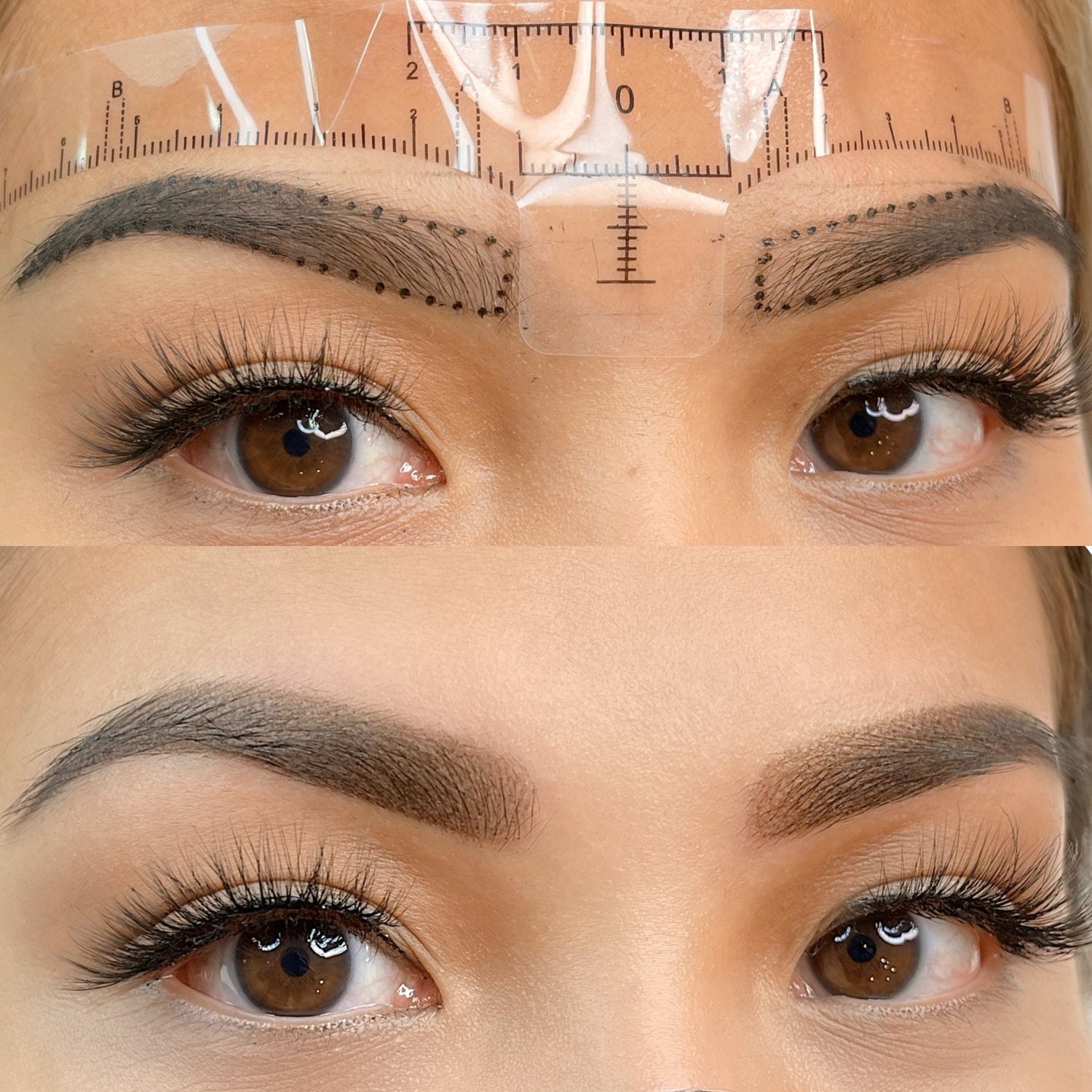 Online - Brow Mapping video and Practice Workbook